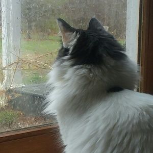 Meet your Posher, Ezra